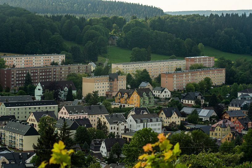 forest flowers field landscape Erzgebirge mountains towns cities villages by Johnny Flash
