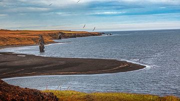 View to the basalt rock on Iceland by Thomas Heitz