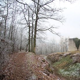Salzburg über Bad Neustadt im Winter von Martin Flechsig