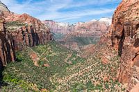 Canyon Overlook in Zion National Park in America