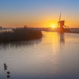 Ducks and coots on the ice near the windmills in Kinderdijk by Rene Siebring