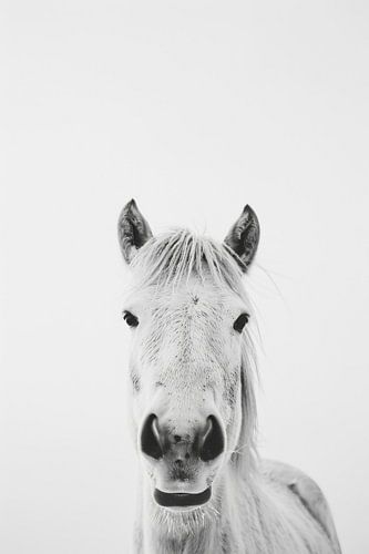 Paardenportret