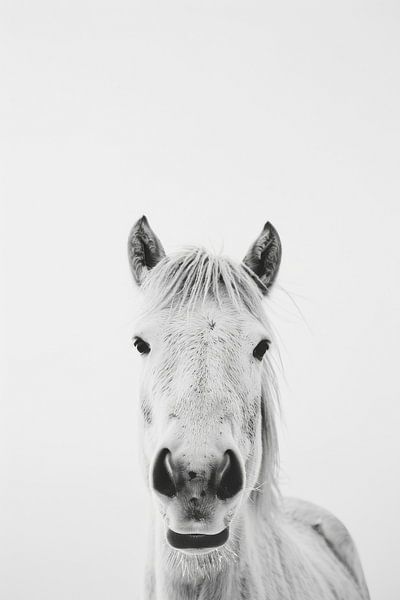 Pferde Portrait von Poster Art Shop