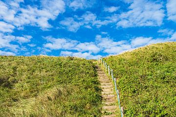 Treppenaufgang in den Dünen bei Hirtshals in Dänemark von Rico Ködder