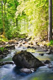 Resin stream by Tim Lee Williams