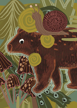 Bear
