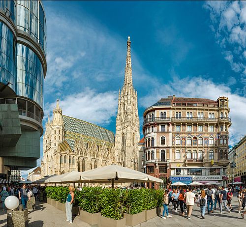 Stephansdom kathedraal, Wenen, Oostenrijk,