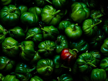 Murcias Paprikas