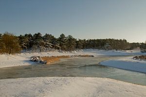 Schnee und Eis in der Bergse Heide in Bergen op Zoom