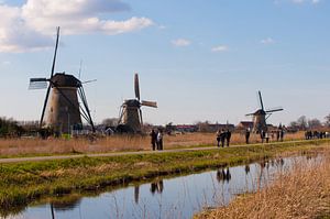 Kinderdijkse Molens