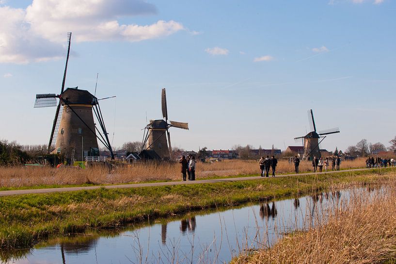 Kinderdijkse Molens van Brian Morgan