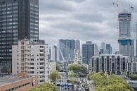 Rotterdam rooftop by Karin vanBijlevelt thumbnail