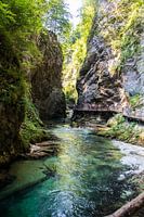 Vintgar gorge Slovenia