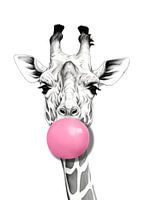 a Bubble Gum Giraffe