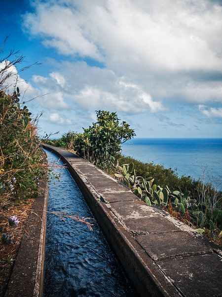 Madeira - Levada Walk von Alexander Voss