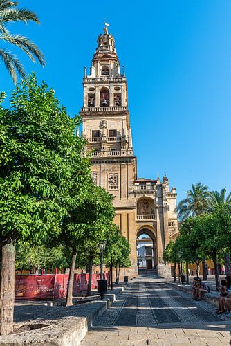Mezquita (Mezquita-Catedral de Córdoba)