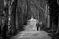 Altes Ehepaar läuft gemeinsam eine lange Allee entlang von Frank Herrmann Miniaturansicht