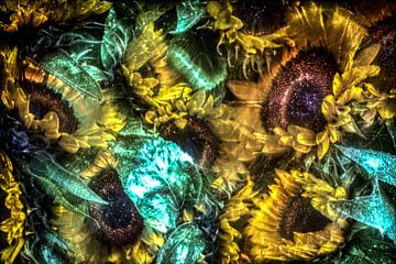 Kirlian veld van prachtige zonnebloemen van MPfoto71