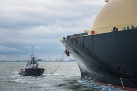 Wasserstraße und Shandong Juniper von Jan Georg Meijer