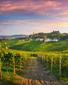 Barbaresco dorp en Langhe wijngaarden, Piemonte, Italië van Stefano Orazzini