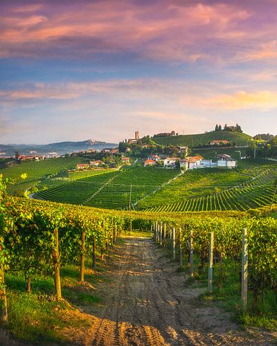 Barbaresco dorp en Langhe wijngaarden, Piemonte, Italië