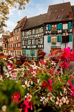 Colmar, Petite Venise, Alsace France