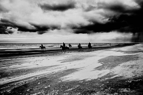 north sea coast with horses on the beach by eric van der eijk