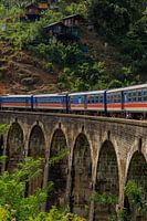Nine Arch Bridge. This train journey in Sri Lanka is among the most beautiful in the world.