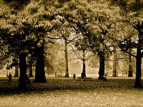 Parkzicht in Londen