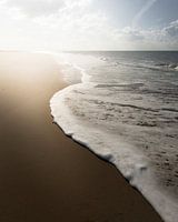 Waves
