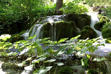 waterval in het Plitvice N.P. in Kroatië van Antwan Janssen