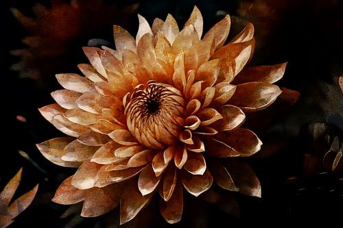 Antique fantasy flower in golden light