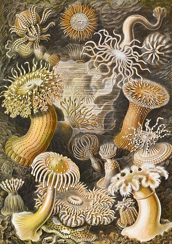 Alle attributen zijn online te bestellen