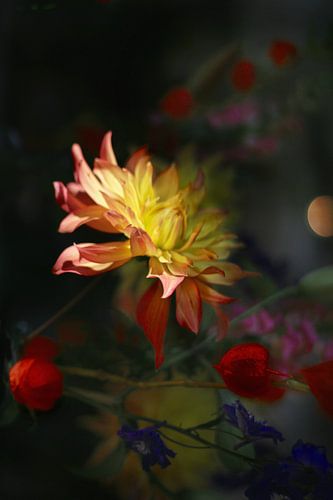 Nuit des fleurs d'automne (2)