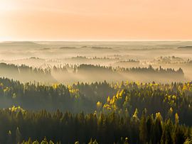 Zonsopgang in de ochtend