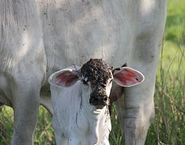 Shitty day by ByMadelon