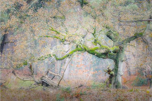 A Beautiful Place To Be