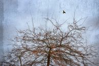De vogelboom van Arja Schrijver Fotografie thumbnail