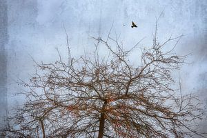L'arbre aux oiseaux sur Arja Schrijver Photographe