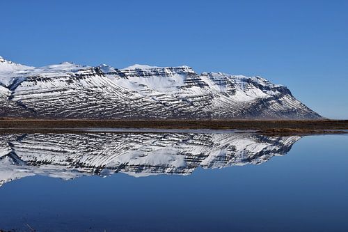 Reflecties