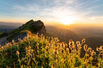 Bloemrijke zonsondergang op de Hochgrat van Leo Schindzielorz