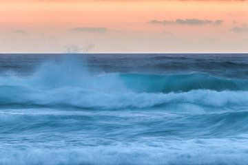 The wave -1 van Heidi Bol