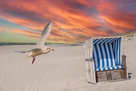 Rustige dag op het strand met strandstoel en zeemeeuw
