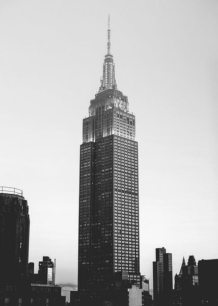 New York, NYC, Brooklyn, Manhattan, Dumbo, Empire State by Nikita Abakumov