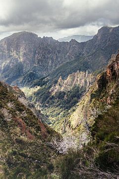 Schilderachtig berglandschap rond Pico do Areeiro | Madeira | Vertikaal werk van Daan Duvillier