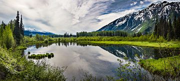 Panorama of reflective mountain lake, Canada by Rietje Bulthuis