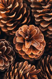 Cônes Diversité sur Poster Art Shop