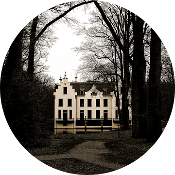 Staverden tussen herfst en winter in sepia