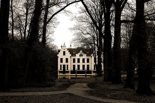 Staverden tussen herfst en winter in sepia