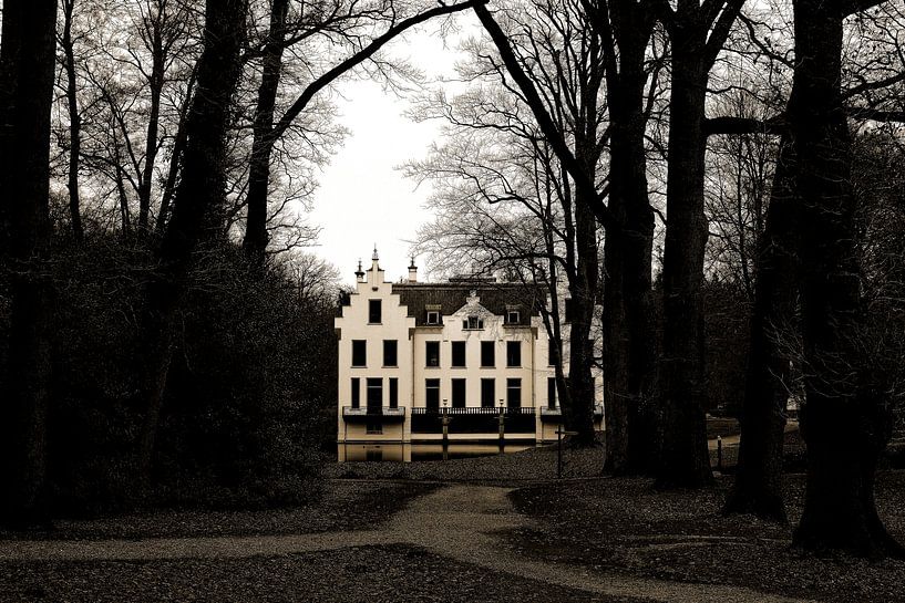 Staverden tussen herfst en winter in sepia van Gerard de Zwaan